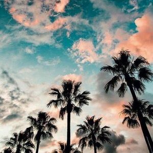 Meet your Posher, Amitoj